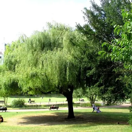Centre-ville Dernier Etage דירה ואנב